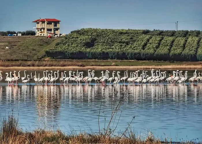 райский уголок Case de vacanță